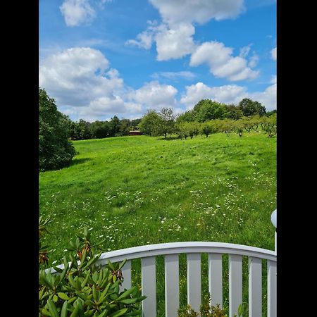 Neu Ferienwohnung Odenwald Rimhorn Luaran gambar