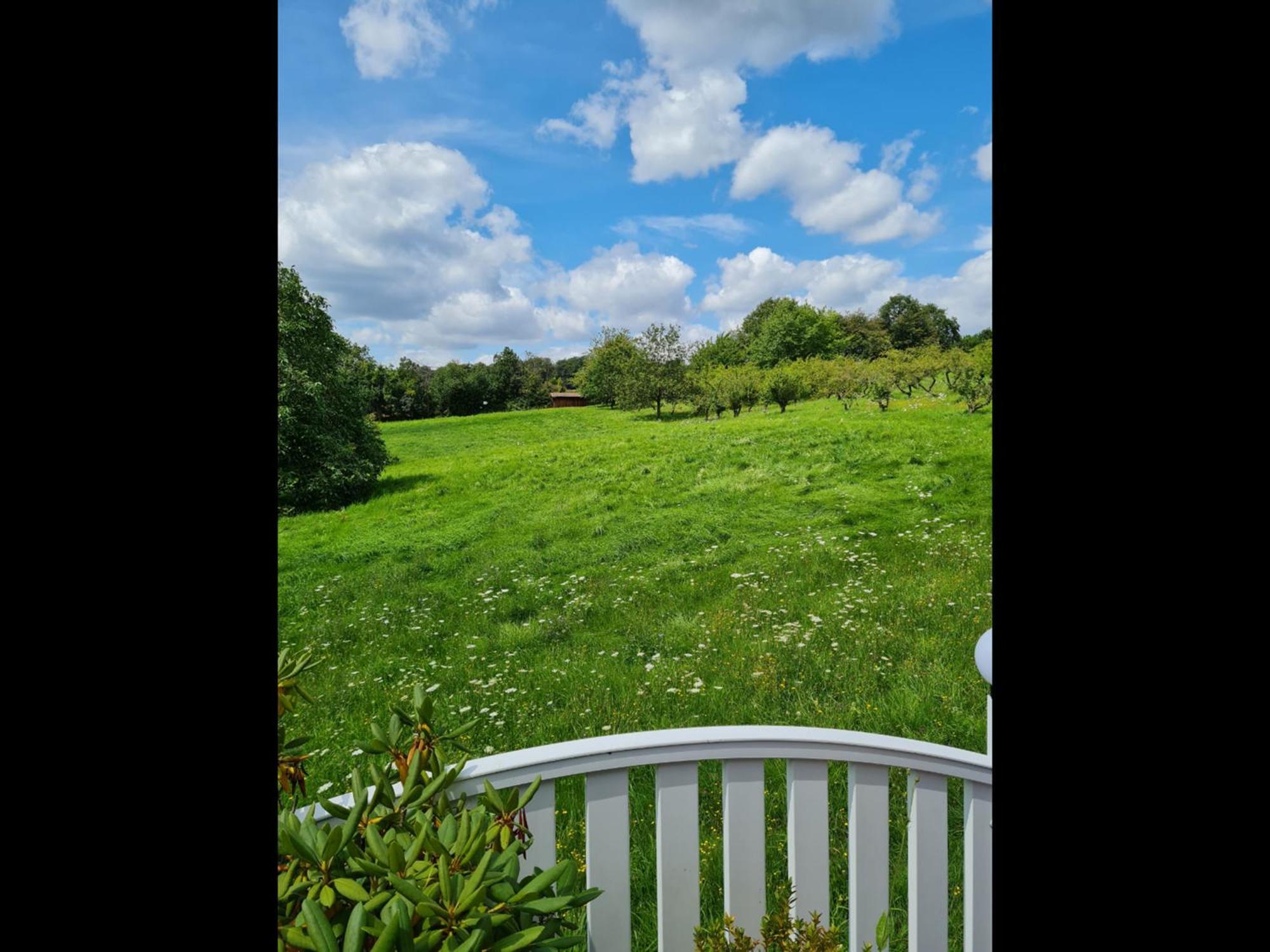 Neu Ferienwohnung Odenwald Rimhorn Luaran gambar